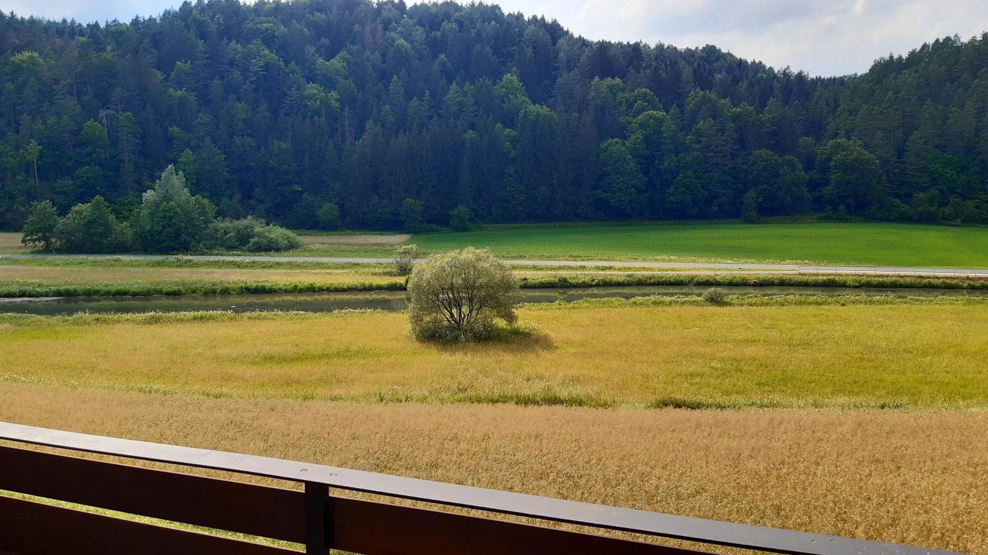 Waldpension Rabeneck Waischenfeld Exterior photo